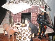 Achak's Cabin