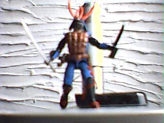 Arashikage.jpg