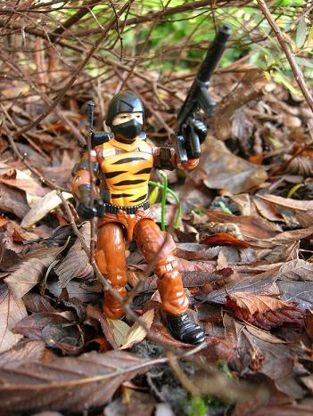 BengalViper3.JPG